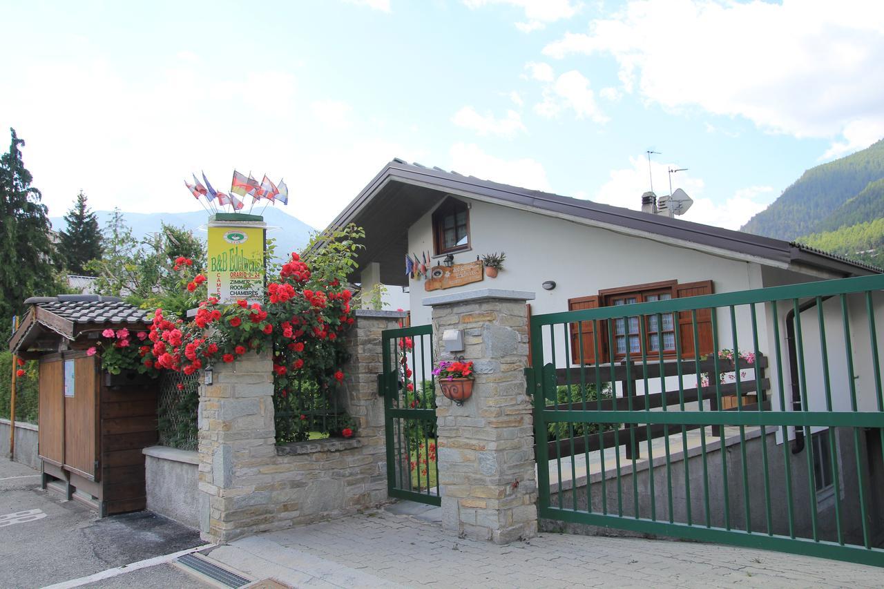 B&B Edelweiss 乌尔克斯 外观 照片